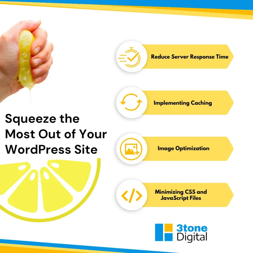 Wordpress Optimization Lemon