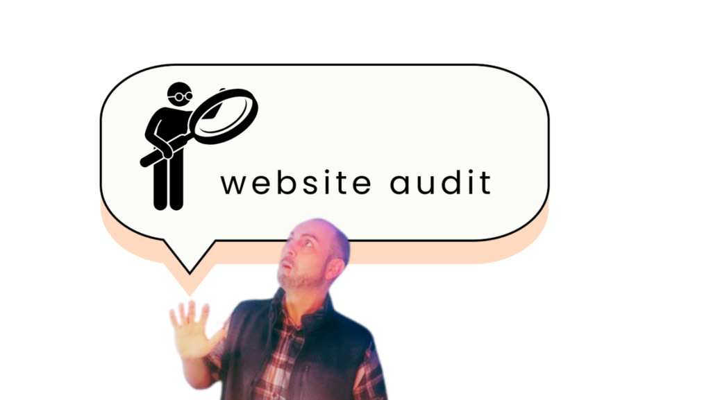 Website Audit