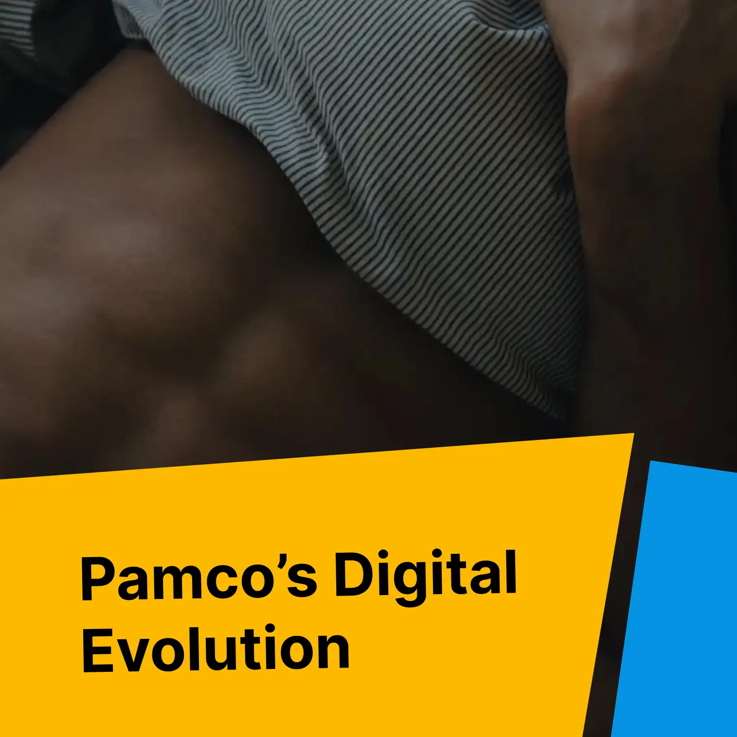 Pamco’s Digital Evolution